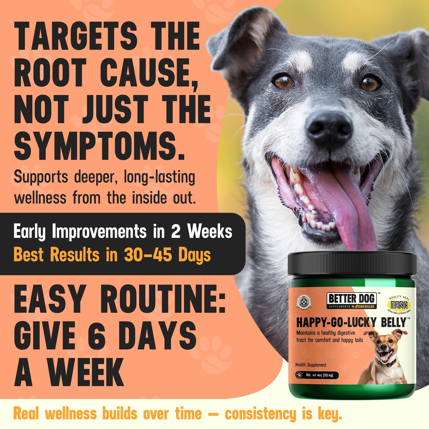 Better Dog Supplements Happy-Go-Lucky Belly by Cesar Millan - Natural Dog Digestive Support Powder – Dog Constipation Relief, Gut Balance & Regularity with Herbal Fiber for Dogs – 4oz (60-Day Supply) - Maple Wellness Supplements
