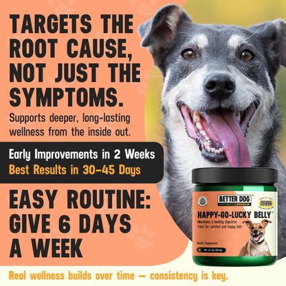 Better Dog Supplements Happy-Go-Lucky Belly by Cesar Millan - Natural Dog Digestive Support Powder – Dog Constipation Relief, Gut Balance & Regularity with Herbal Fiber for Dogs – 4oz (60-Day Supply) - Maple Wellness Supplements