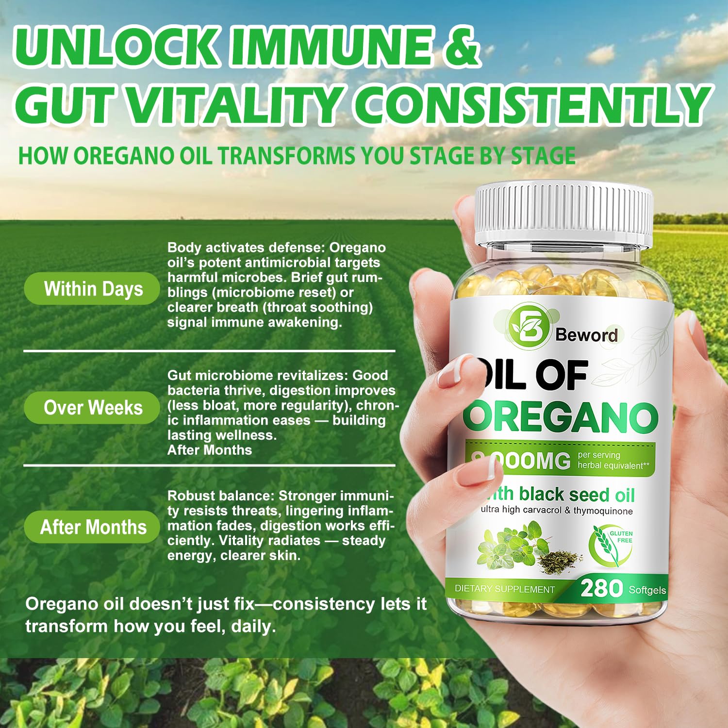 BEWORD Oil of Oregano with Black Seed Oil, 280 Softgels, 9000mg Per Serving – 2-in-1 Oregano Supplement for Immune Health with High Carvacrol & Thymoquinone | Plant-Based, Non-GMO - Maple Wellness Supplements