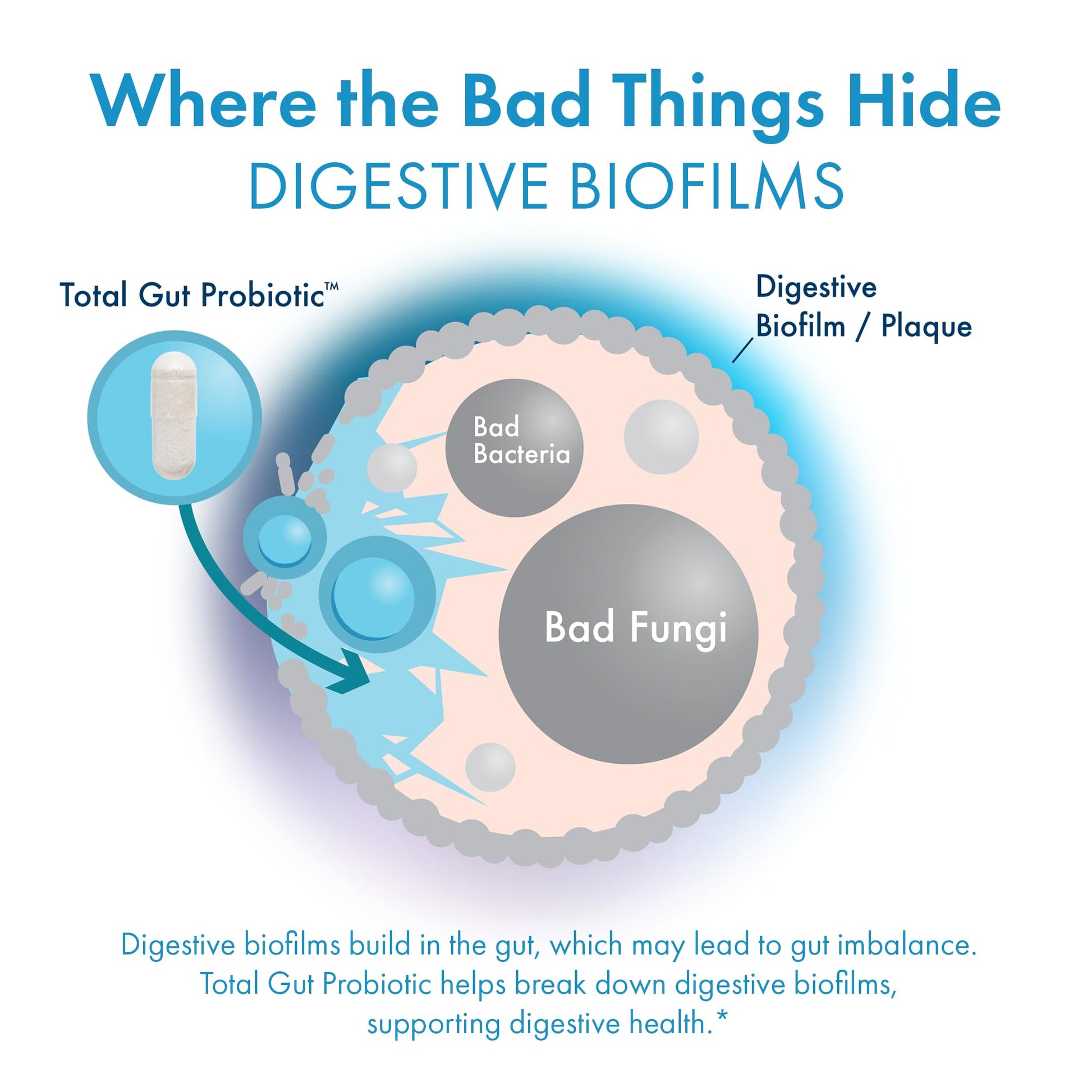 BIOHM Total Probiotic, 30 Billion CFU Daily Probiotics for Women & Men (30 Count) Helps Reduce Occasional Gas & Bloating, - Maple Wellness Supplements