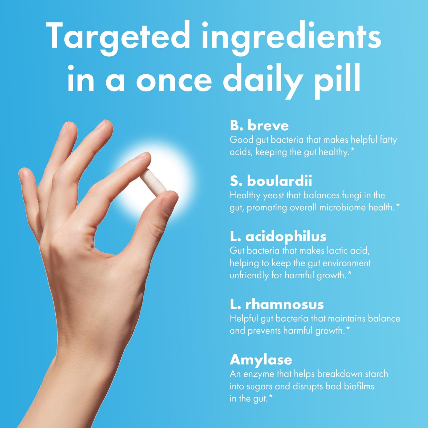 BIOHM Total Probiotic, 30 Billion CFU Daily Probiotics for Women & Men (30 Count) Helps Reduce Occasional Gas & Bloating, - Maple Wellness Supplements