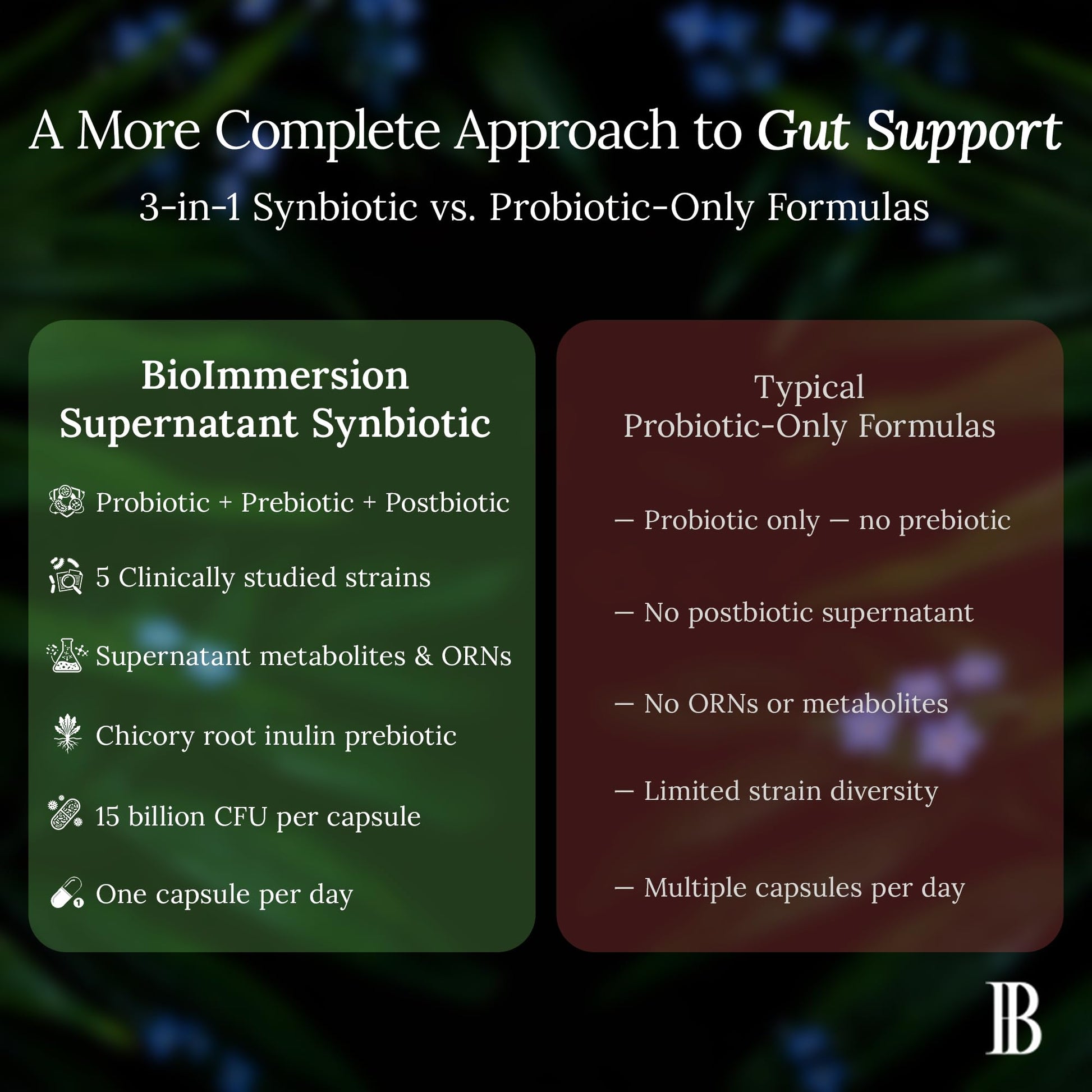BioImmersion Supernatant Synbiotic - Prebiotic Probiotic Postbiotic - Eases Digestive Discomfort, Gut Imbalance & Yeast Overgrowth - Immune & Microbiome Support - Maple Wellness Supplements