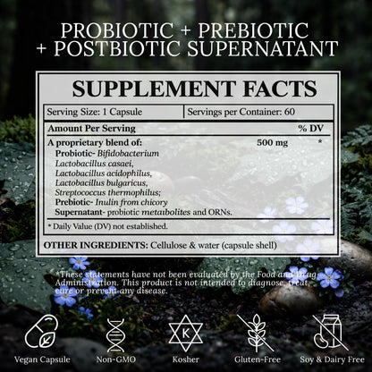 BioImmersion Supernatant Synbiotic - Prebiotic Probiotic Postbiotic - Eases Digestive Discomfort, Gut Imbalance & Yeast Overgrowth - Immune & Microbiome Support - Maple Wellness Supplements