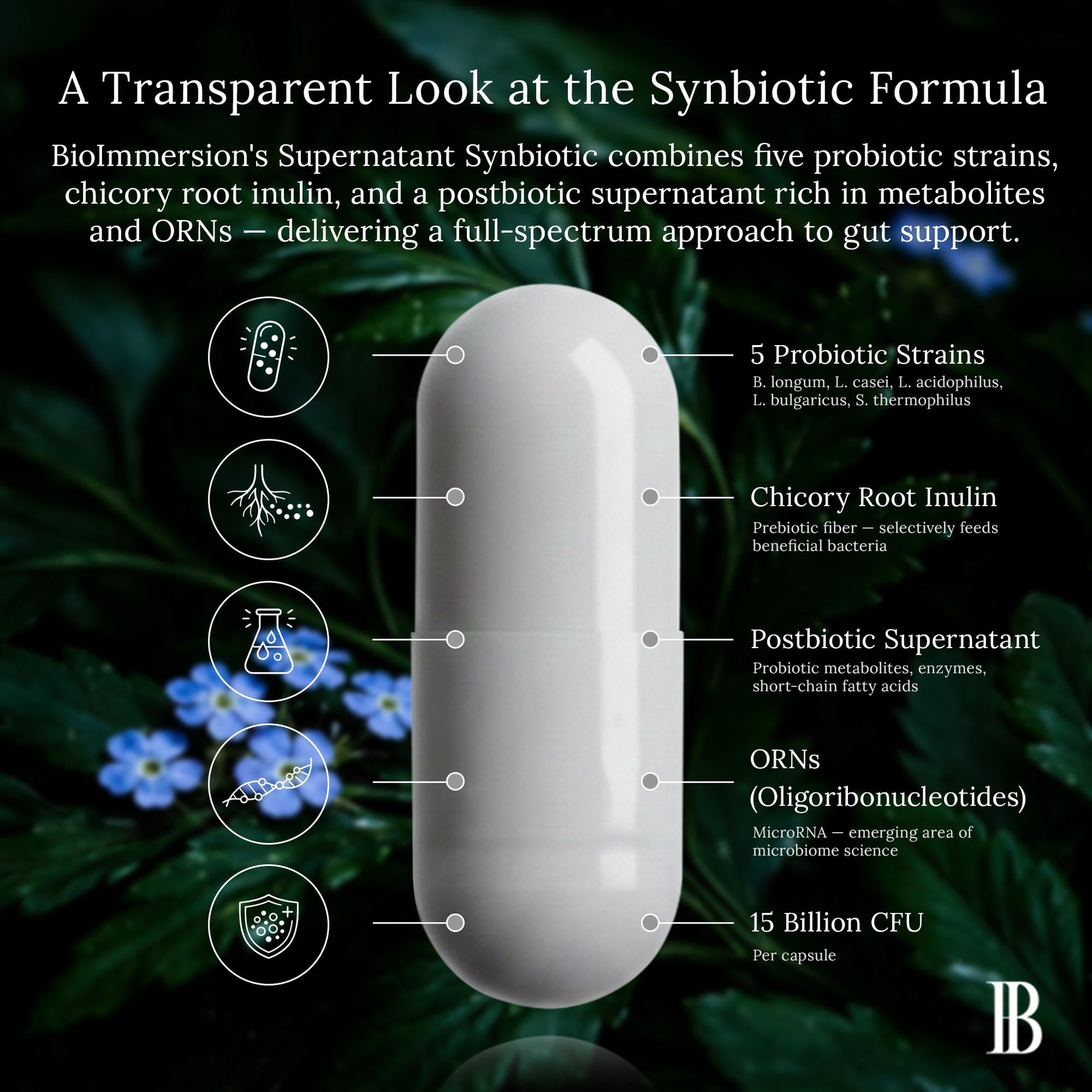 BioImmersion Supernatant Synbiotic - Prebiotic Probiotic Postbiotic - Eases Digestive Discomfort, Gut Imbalance & Yeast Overgrowth - Immune & Microbiome Support - Maple Wellness Supplements