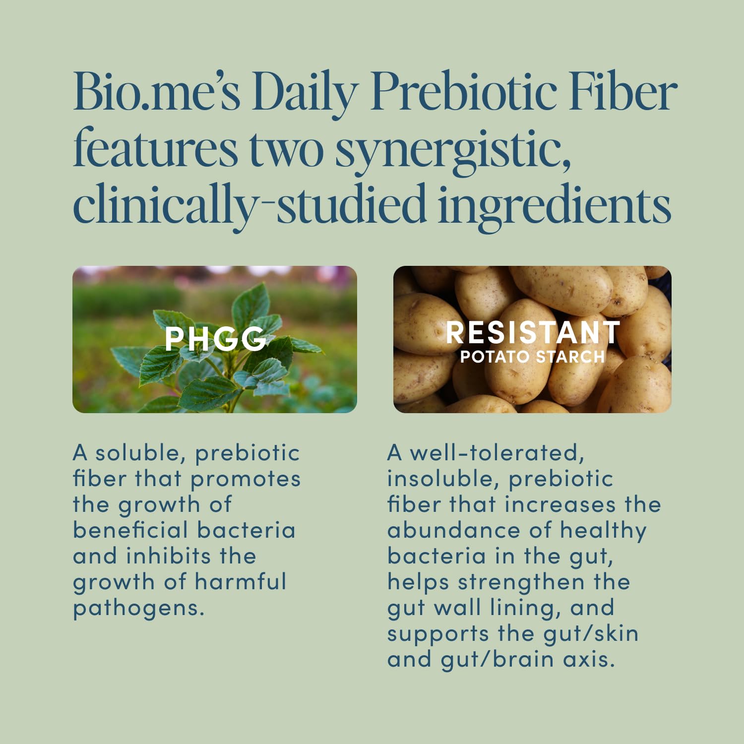 Bio.me Daily Prebiotic Fiber Powder Unflavored - 7g Per Serving - Soluble & Insoluble Fiber Supplement Powder for Women & Men - Digestive Health & Gut Health - Maple Wellness Supplements