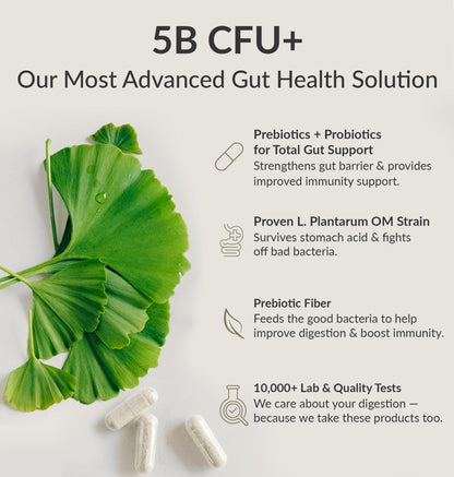 BIOptimizers Probiotic Breakthrough – Lactobacillus Plantarum OM Probiotics & Prebiotics Health Supplement for Gut, Digestive & Immune Support Probiotics - Maple Wellness Supplements