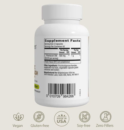 BIOptimizers Probiotic Breakthrough – Lactobacillus Plantarum OM Probiotics & Prebiotics Health Supplement for Gut, Digestive & Immune Support Probiotics for Women Men Elderly– 30 Vegan Capsules - Maple Wellness Supplements