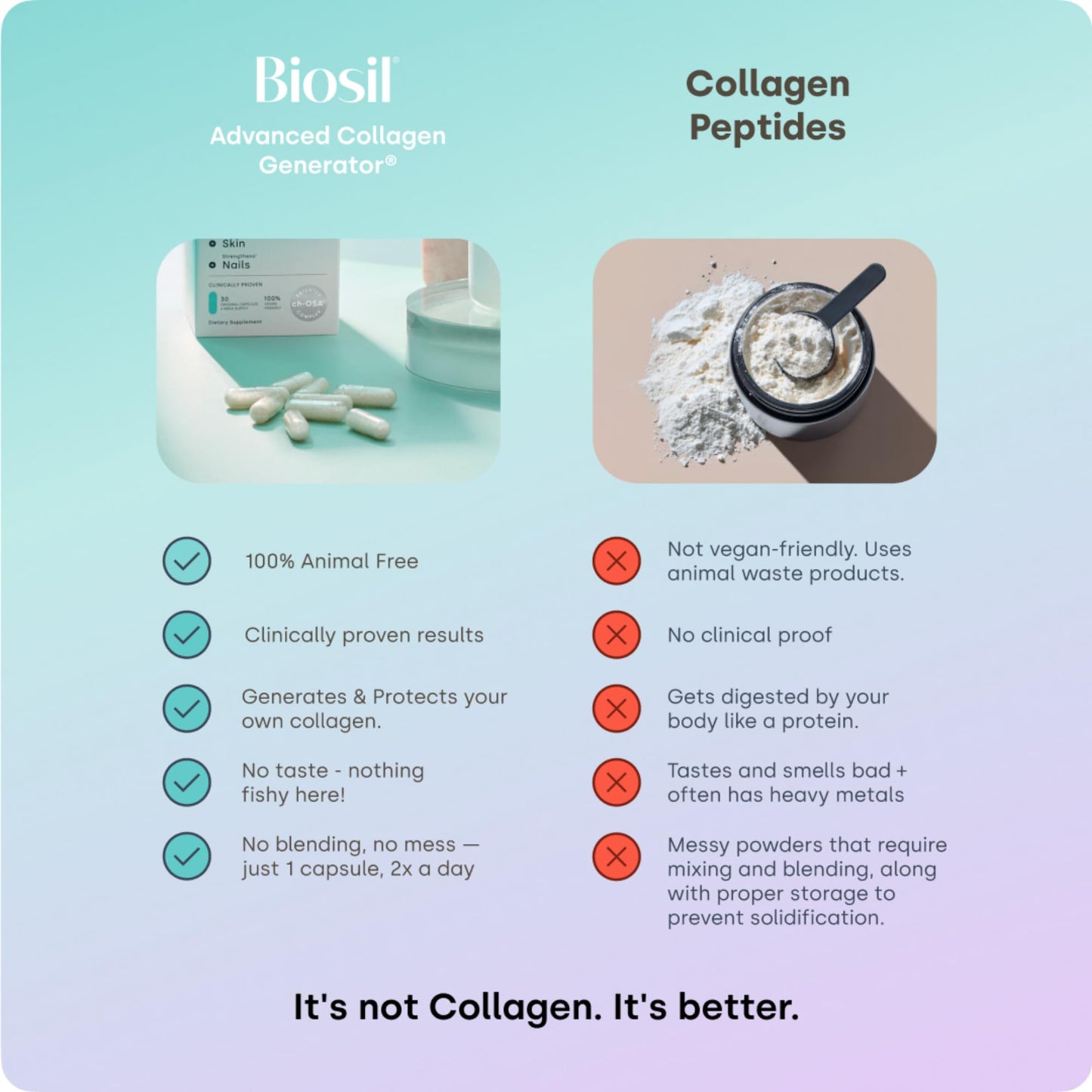 Biosil Collagen Booster Supplement - 120 Original Capsules - Patented ch-OSA Activator for Skin, Hair, Nails & Joints - Maple Wellness Supplements