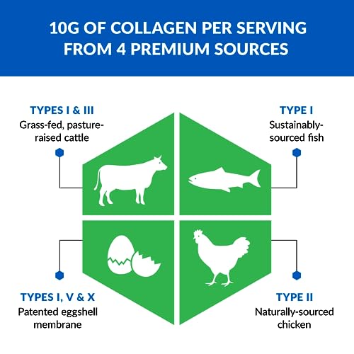 BioTrust Ageless Multi Collagen Peptides Powder – 5 Types (I, II, III, V, X) – Fruit Punch - Maple Wellness Supplements