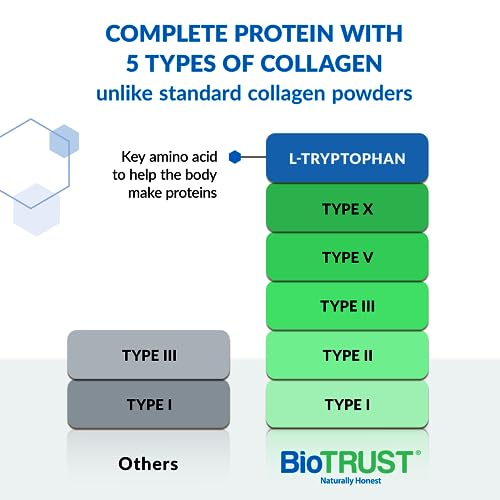 BioTrust Ageless Multi Collagen Peptides Powder – 5 Types (I, II, III, V, X) – Fruit Punch - Maple Wellness Supplements
