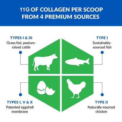 BioTrust Ageless Multi Collagen Peptides Powder - 5 Types (I, II, III, V, X) - Unflavored Collagen Powder for Women & Men - Hydrolyzed Protein - Maple Wellness Supplements