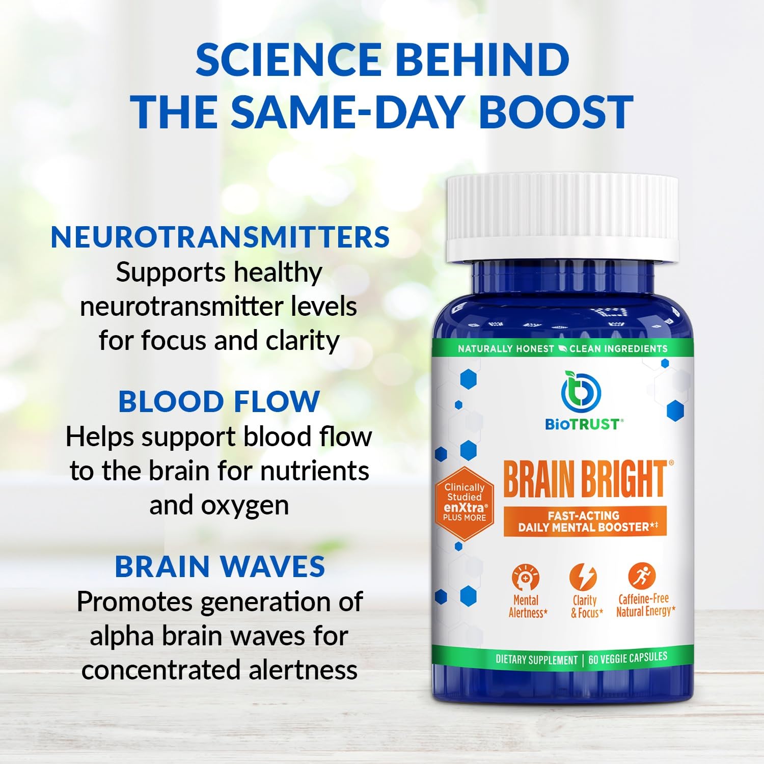 BioTrust Brain Bright – Daily Nootropic Boost for Focus, Concentration, Mental Clarity – Caffeine Free Nootropics Brain Support Supplement – Thai Ginger, Ginkgo, Folate, L-Theanine – 30 Servings - Maple Wellness Supplements