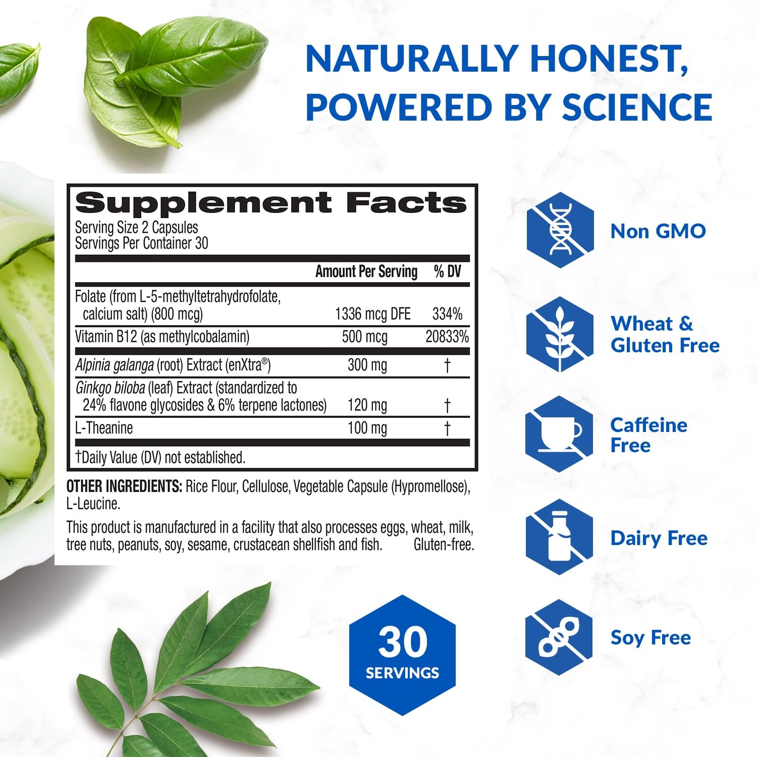 BioTrust Brain Bright – Daily Nootropic Boost for Focus, Concentration, Mental Clarity – Caffeine Free Nootropics Brain Support Supplement – Thai Ginger, Ginkgo, Folate, L-Theanine – 30 Servings - Maple Wellness Supplements