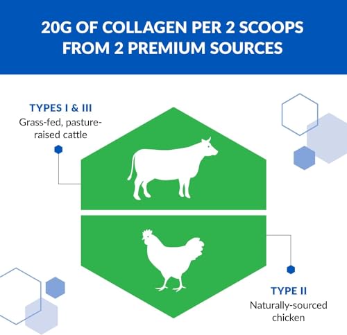 BioTrust Tri Collagen Powder - 3-in-1 Hydrolyzed Collagen Peptides Powder - Maple Wellness Supplements