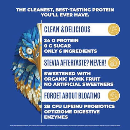 BIRDMAN Falcon Organic Vegan Protein Powder Vanilla, 24g Protein, Sugar Free, Probiotics - Maple Wellness Supplements