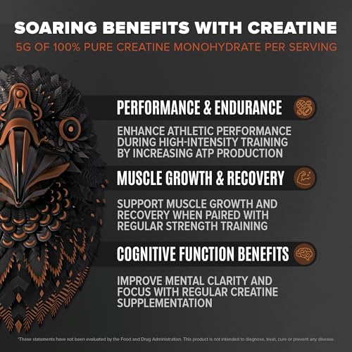 Birdman Falcon Performance Vegan Protein Powder, 31g Protein, 5g Creatine, 5g BCAA - Maple Wellness Supplements