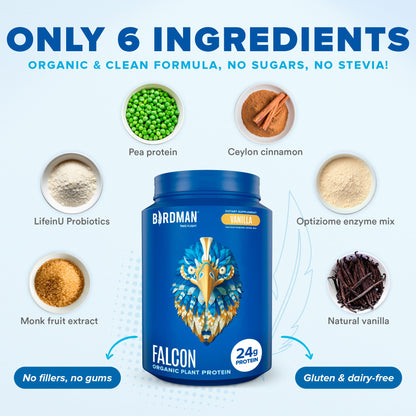 BIRDMAN Falcon Vegan Protein Powder Organic, Stevia & Sugar Free, Plant Based Protein - Maple Wellness Supplements