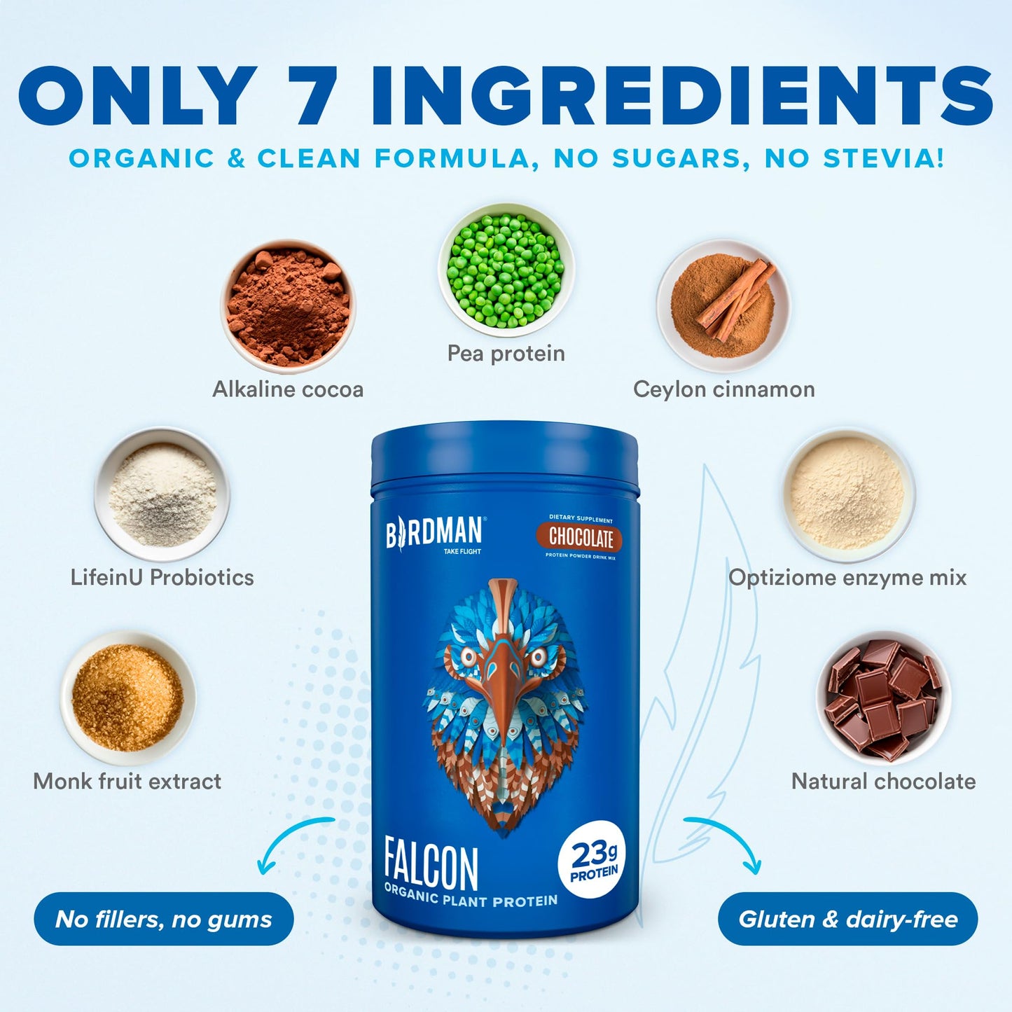 BIRDMAN Falcon Vegan Protein Powder Organic, Stevia & Sugar Free, Plant Based Protein - Maple Wellness Supplements