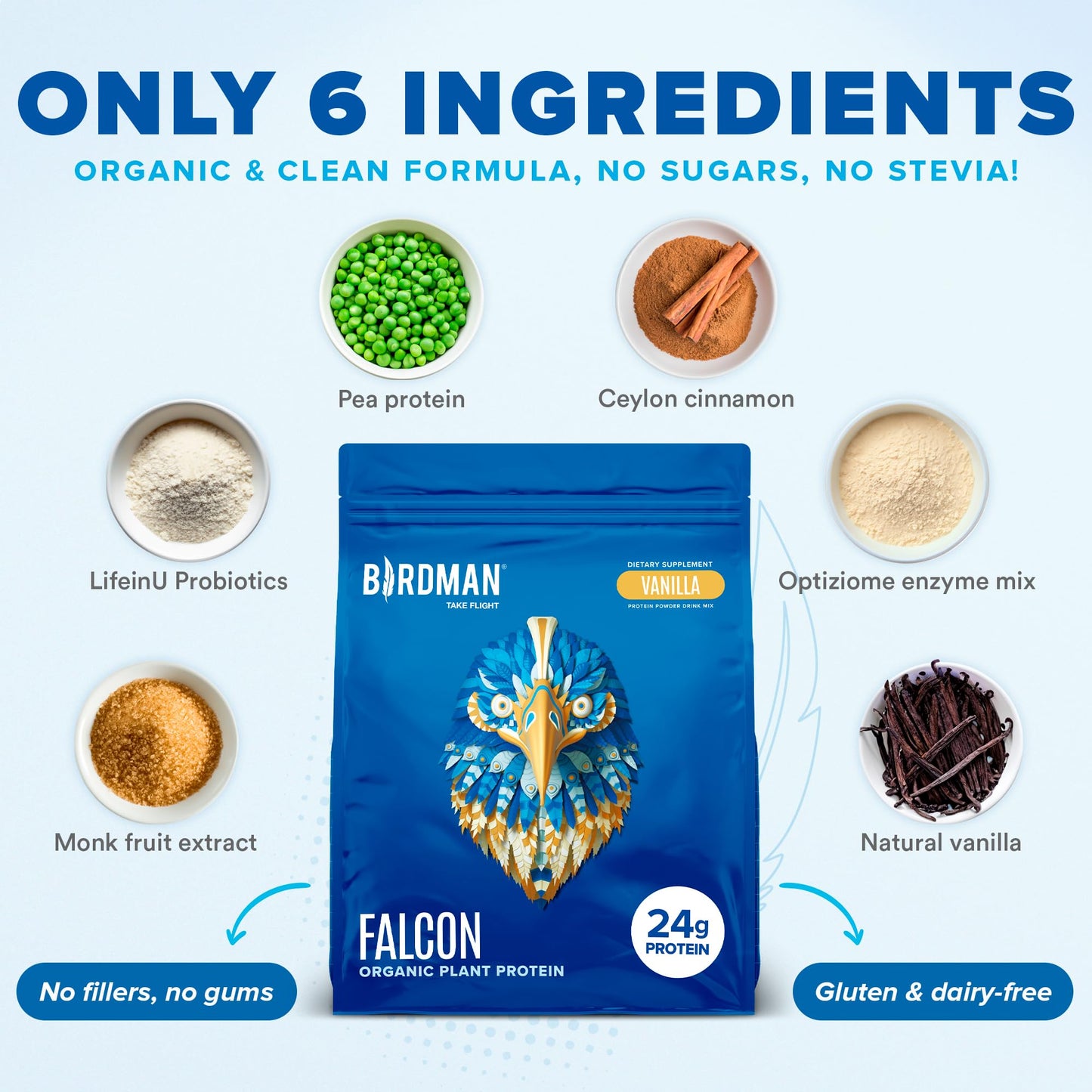 BIRDMAN Falcon Vegan Protein Powder Organic, Stevia & Sugar Free, Plant Based Protein - Maple Wellness Supplements