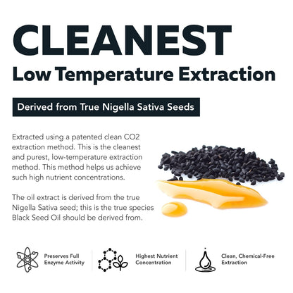 Black Seed Oil Softgels | 5% Thymoquinone - TQ-Advanced® | High Potency - 500 mg per Capsule - 15:1 Concentrate from Nigella Sativa Extract - Maple Wellness Supplements