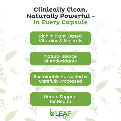 B'LEAF NATURE Moringa and Quercetin Bundle - Non-GMO, Vegan, High Absorption Capsules - 1000mg Quercetin Phytosome Blend + 1000mg Moringa - Natural Energy, Wellness and Immune Support Supplements - Maple Wellness Supplements