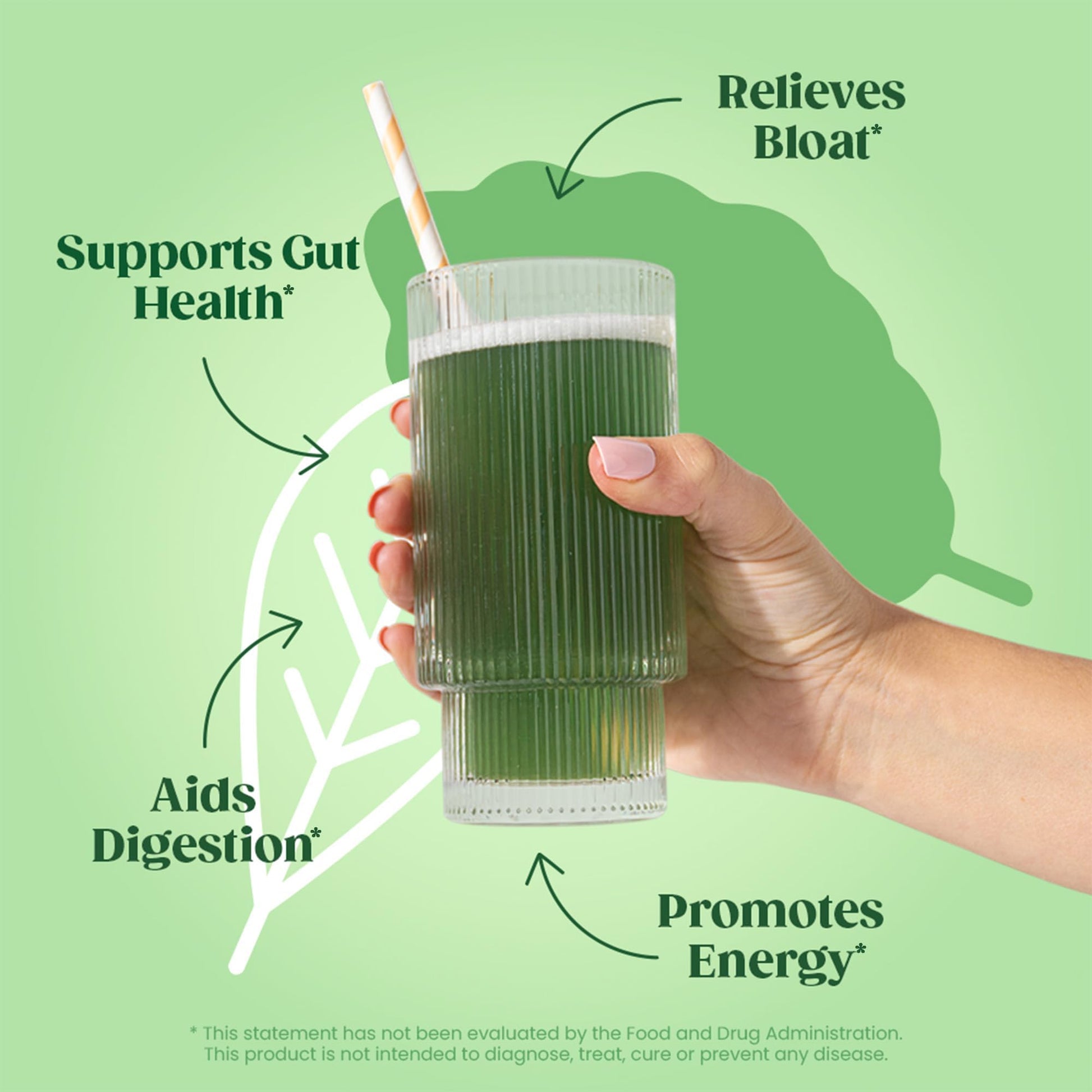 Bloom Nutrition Greens and Superfoods Powder for Digestive Health, Greens Powder - Maple Wellness Supplements