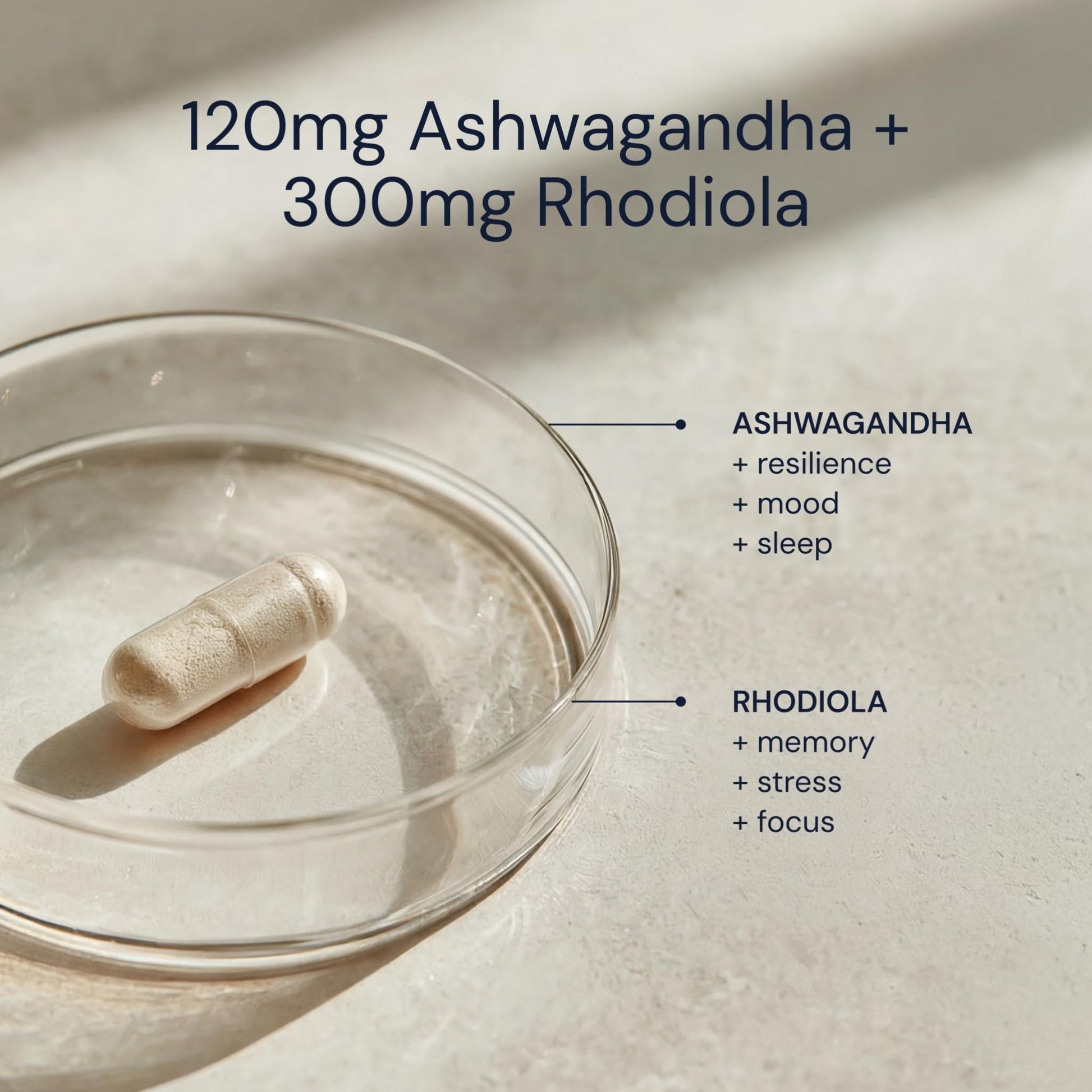 Blueprint Bryan Johnson Ashwagandha & Rhodiola Supplement – 120mg Ashwagandha + Rhodiola Root – Daily Adaptogen Capsules for Stress Support, Mood Balance, Energy & Focus – 30 Vegan Capsules - Maple Wellness Supplements
