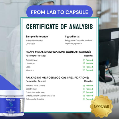 Body C.E.O. After Drinking Aid - Electrolyte Balance & Recovery - DHM (Dihydromyricetin), L-Cysteine, Prickly Pear, Milk Thistle, Zinger, Vitamin-B for Recovery - Filler-Free Formula - 60 Capsules - Maple Wellness Supplements