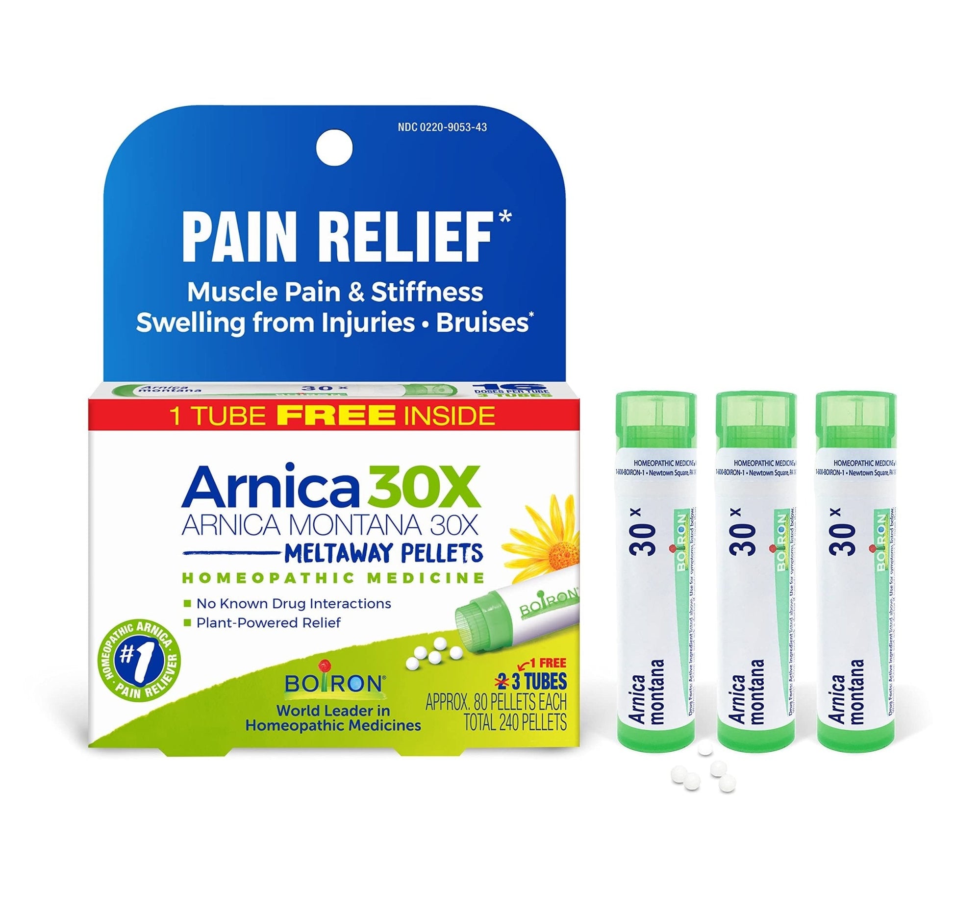 Boiron Arnica Montana 30X Homeopathic Medicine for Relief from Muscle Pain, Muscle Stiffness, Swelling from Injury, and Discoloration from Bruises - 3 Count (240 Pellets) - Maple Wellness Supplements