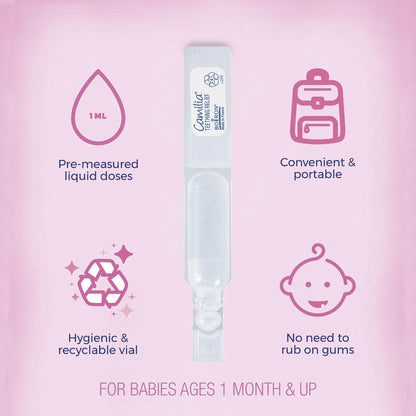 Boiron Camilia Teething Drops for Daytime and Nighttime Relief of Painful or Swollen Gums and Irritability in Babies - 30 Count - Maple Wellness Supplements