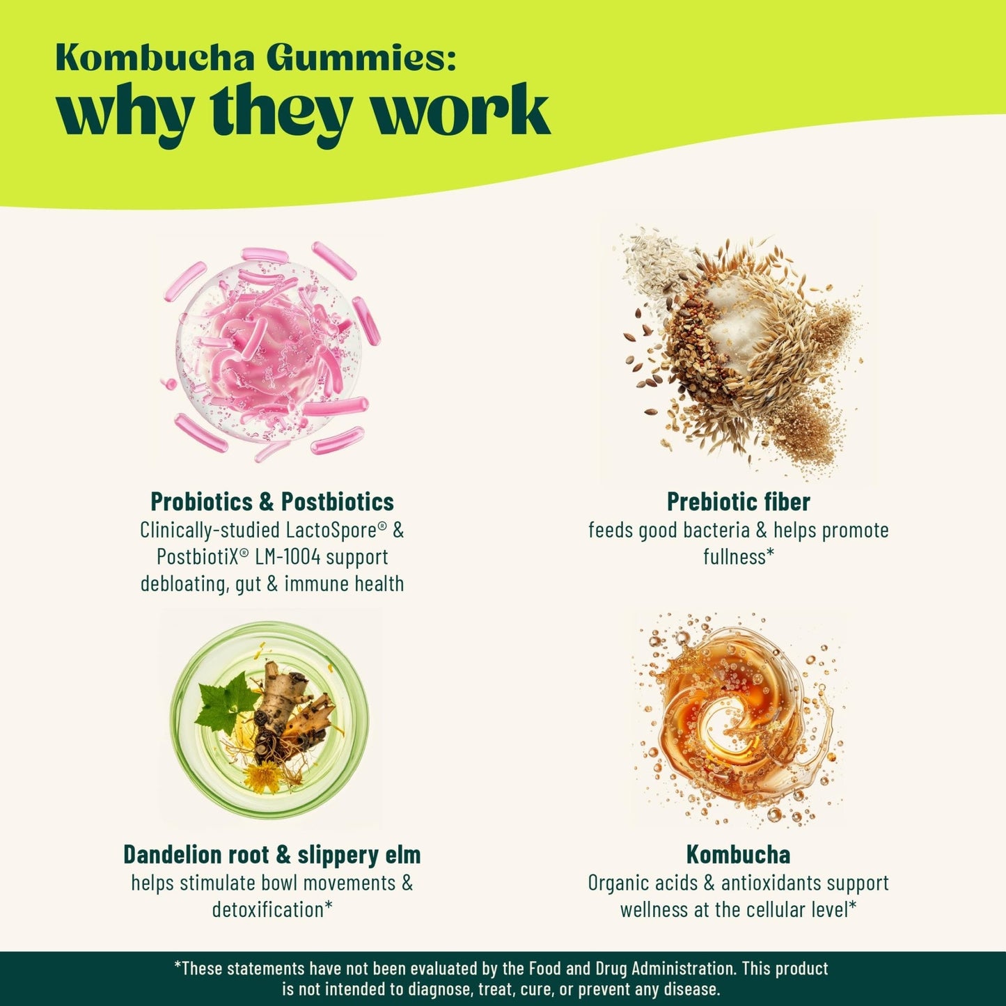 BoochBod - Probiotic Kombucha Gummy - Prebiotics, Probiotics, Postbiotics, Fiber Supplement, Slippery Elm, Dandelion Root - Maple Wellness Supplements