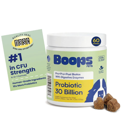 Boops Pets Probiotics for Dogs – 30 Billion CFU with Pre, Postbiotics & Digestive Enzymes – Supports Gut Health, Immunity, Loose Stools & Allergies – Filet Mignon Flavor – Vet Formulated – 60 Chews - Maple Wellness Supplements