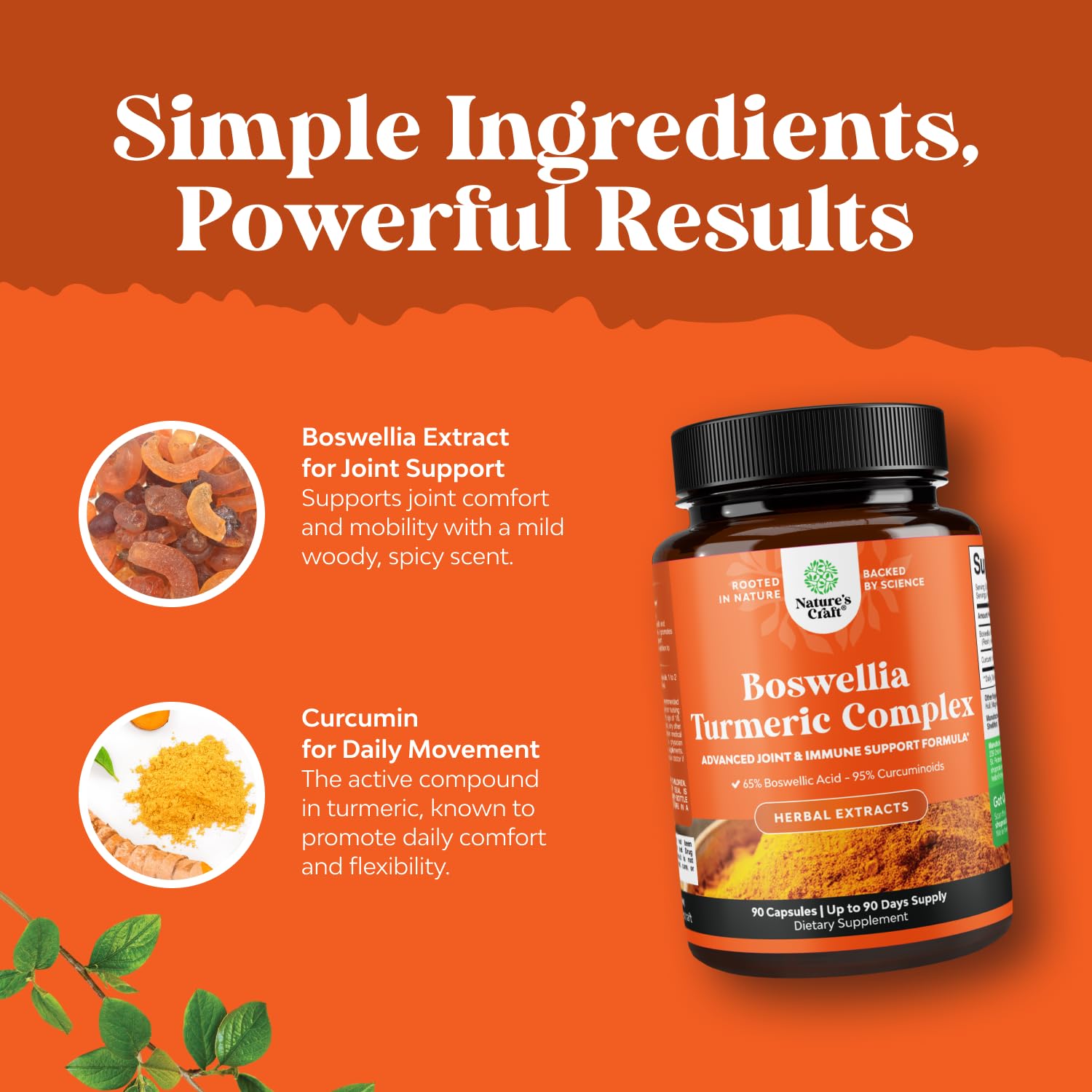 Boswellia Extract Capsules with Turmeric - Advanced Immune Health Support Supplement - Turmeric & Boswellia Serrata Capsules 500mg per Serving for Body Detox & Healthy Joints - 90 Count - Maple Wellness Supplements