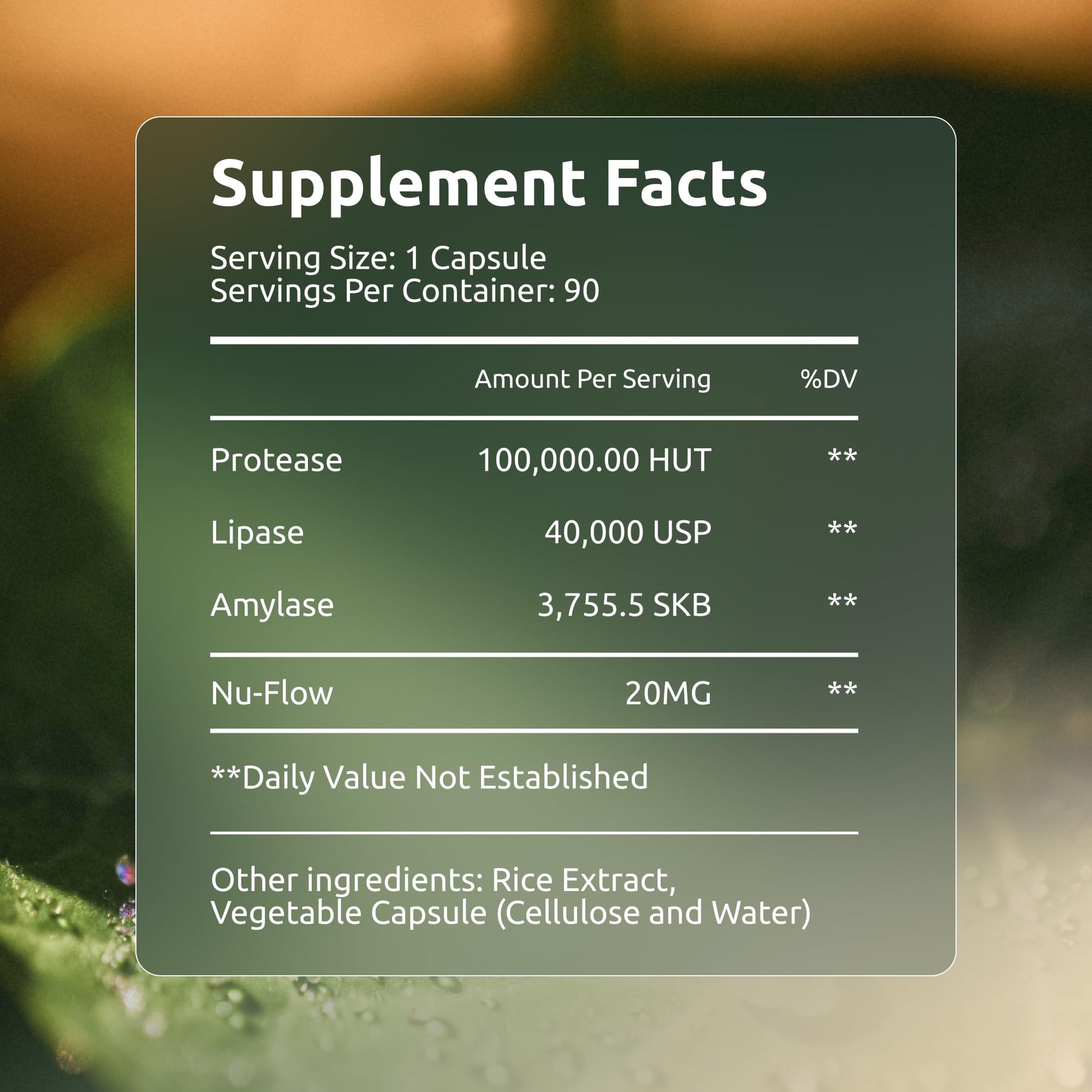 Boulder Bio Digestive Enzymes | 40,000 USP Lipase - Prescription Strength Pancreatic Enzyme Replacement Formula for Fat Digestion, Gut Health & Nutrient Absorption - Maple Wellness Supplements