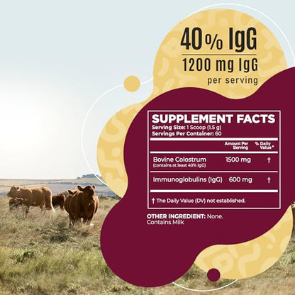 Bovine Colostrum Powder - 40% IgG Highly Concentrated Pure Bovine Colostrum - Maple Wellness Supplements
