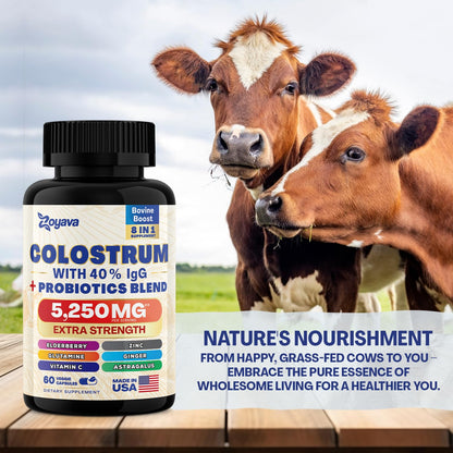 Bovine Colostrum Supplement Capsules 5250 MG, Grass Fed Cow Colostrum - Maple Wellness Supplements