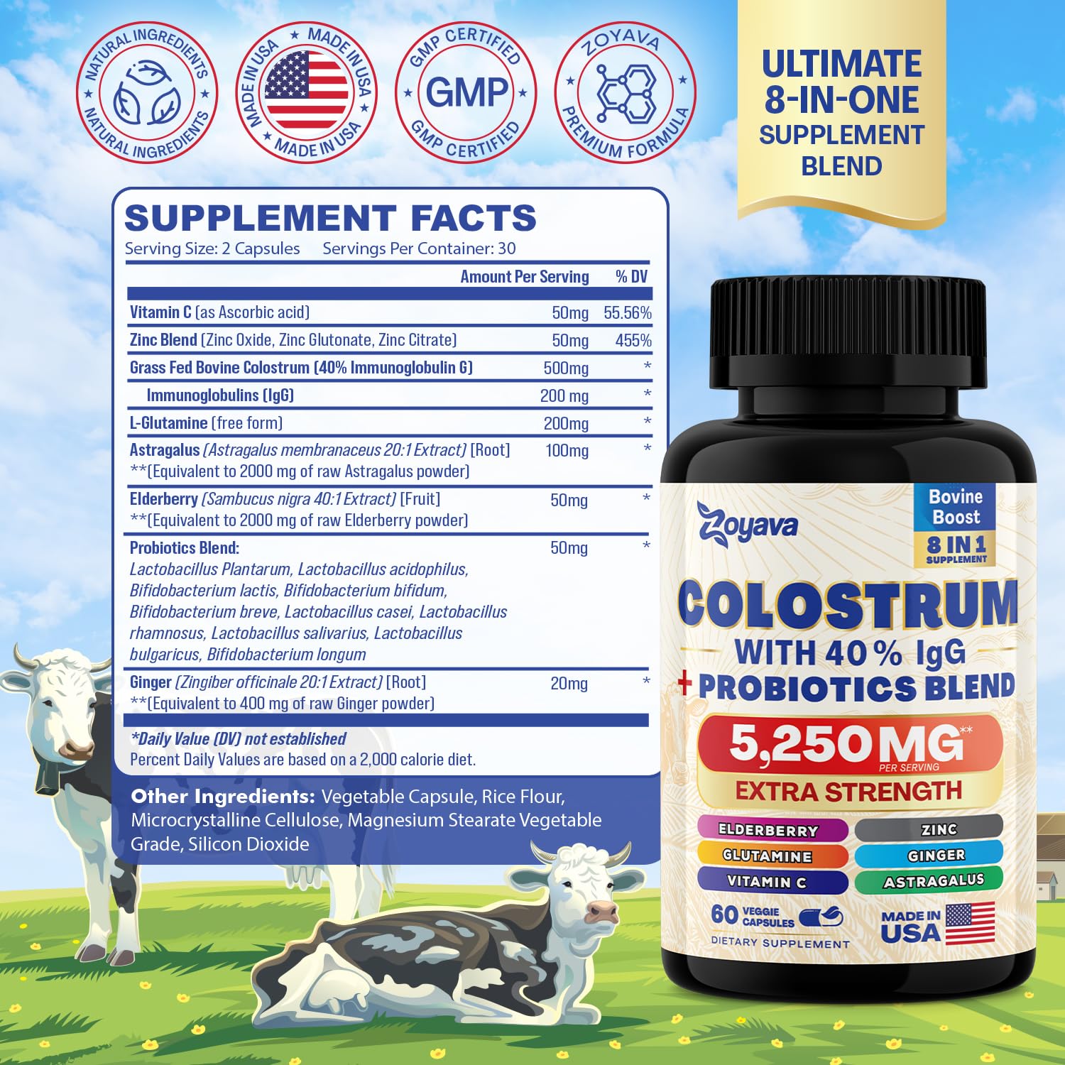 Bovine Colostrum Supplement Capsules 5250 MG, Grass Fed Cow Colostrum - Maple Wellness Supplements