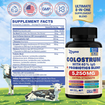 Bovine Colostrum Supplement Capsules 5250 MG, Grass Fed Cow Colostrum - Maple Wellness Supplements