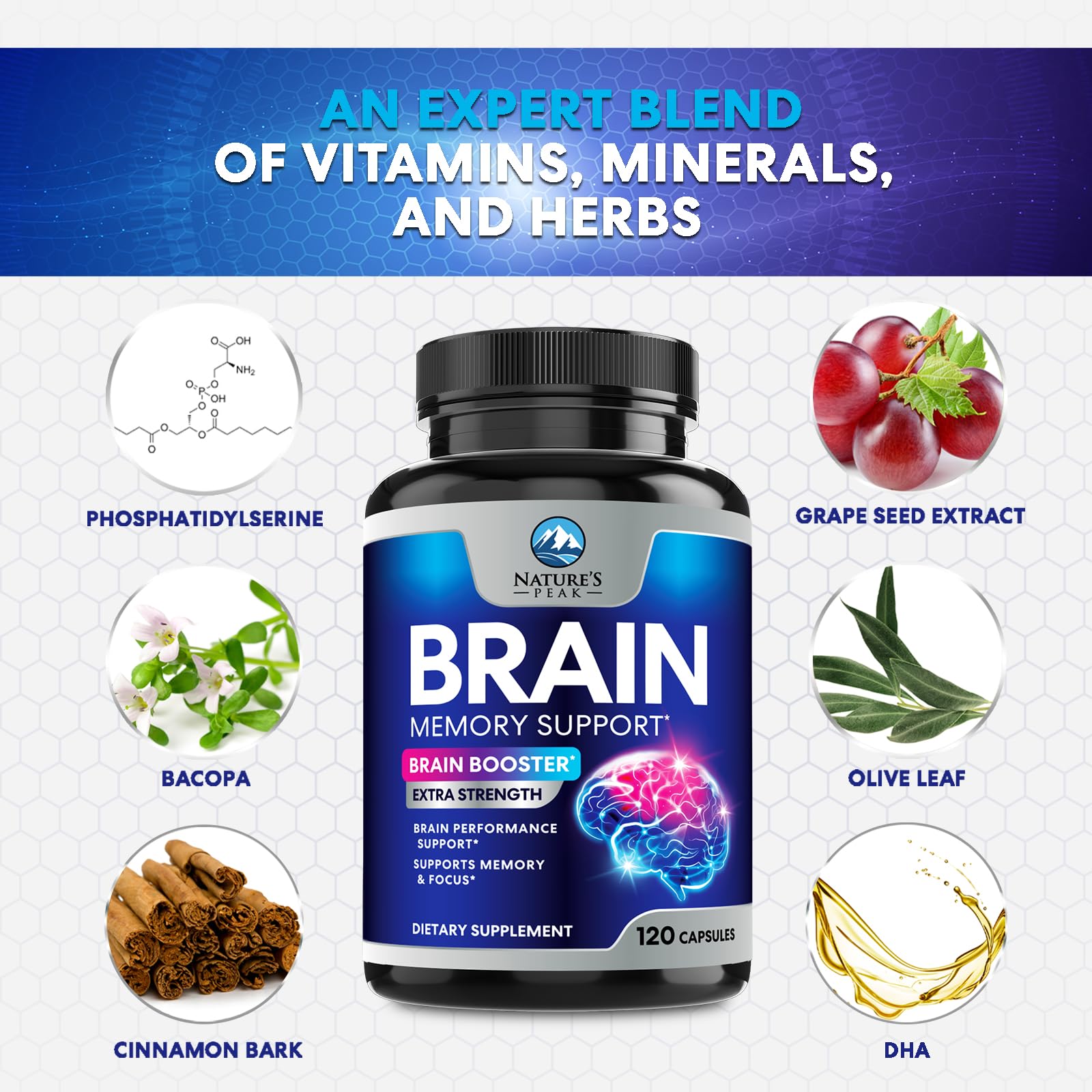 Brain Memory Supplement - 3X Strength Nootropics for Concentration, Clarity & Focus Support - Brain Health Cognitive Vitamins with Bacopa, Phosphatidylserine & DMAE, Brain Booster Pills, 120 Capsules - Maple Wellness Supplements