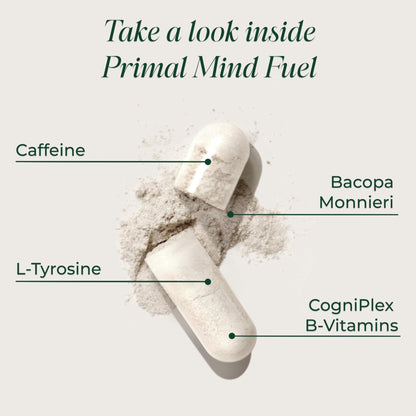 Brain Supplement by Primal Harvest, Primal Mind Fuel Brain Booster for Focus, Energy, Clarity, and Brain Health 30 Capsules - Maple Wellness Supplements