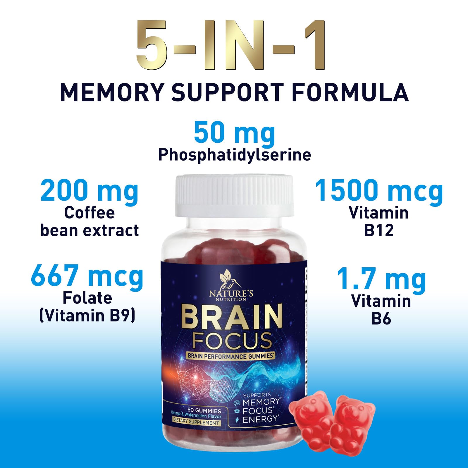 Brain Supplements for Memory and Focus with Phosphatidylserine, Nootropic Memory Supplement Gummy for Brain Health, Concentration, Mental & Cognitive Support, Focus Vitamins with B6 & B12-60 Gummies - Maple Wellness Supplements