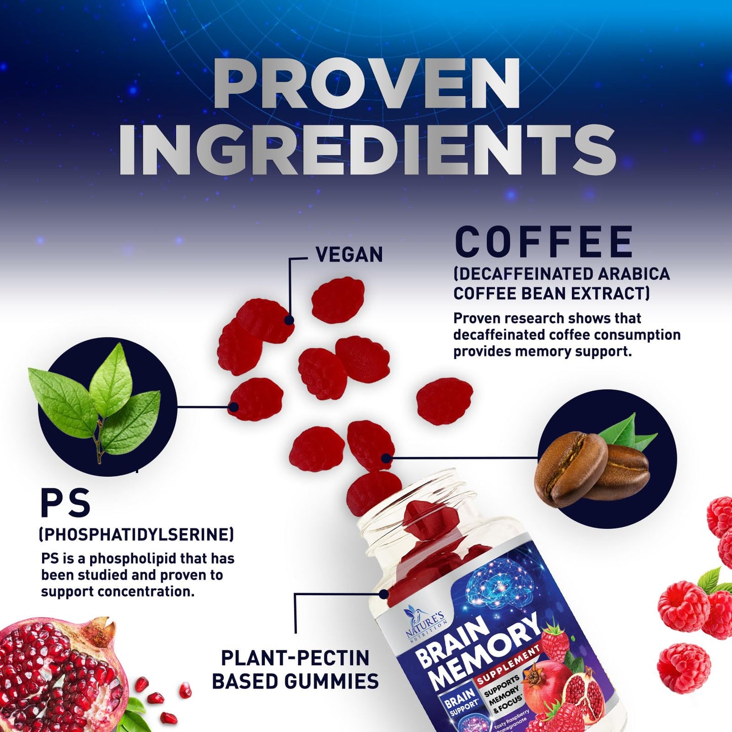 Brain Supplements for Memory & Focus Gummies - Brain Health Clarity with B6 B12 & Phosphatidylserine - Natural Nootropics Cognitive Concentration & Alertness Support Vitamins - 60 Vegan Gummies - Maple Wellness Supplements