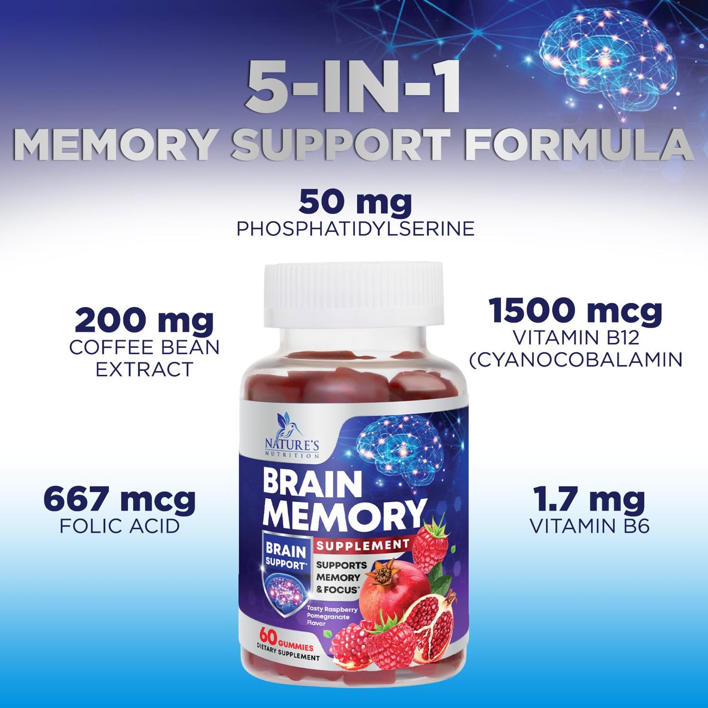 Brain Supplements for Memory & Focus Gummies - Brain Health Clarity with B6 B12 & Phosphatidylserine - Natural Nootropics Cognitive Concentration & Alertness Support Vitamins - 60 Vegan Gummies - Maple Wellness Supplements