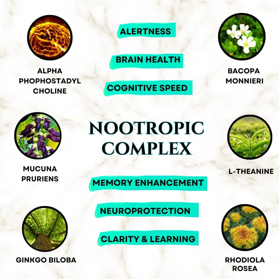 Brain Supplements for Memory & Focus - Nootropic Brain Health - Cognitive Performance, Clarity, Energy, Mental Vigor, Shilajit - Alpha Choline, Lion's Mane, Bacopa, 18 Premium Ingredients - Maple Wellness Supplements