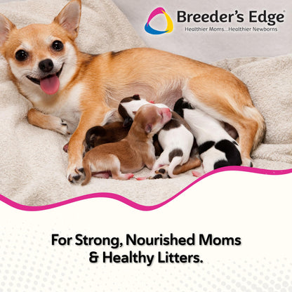 Breeder's Edge Oxy Momma Soft Chews, Postnatal Vitamin Supplement for Lactating Dogs and Cats, Supports Recovery, Hormones, and Next Pregnancy - for Small Dogs & Cats, 40ct Soft Chews - Maple Wellness Supplements