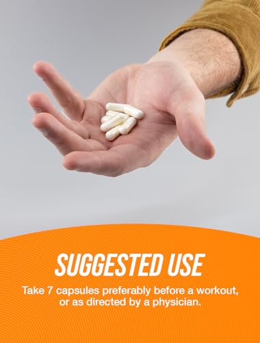 BULKSUPPLEMENTS.COM Creatine Monohydrate Capsules - Micronized Creatine Monohy - Maple Wellness Supplements