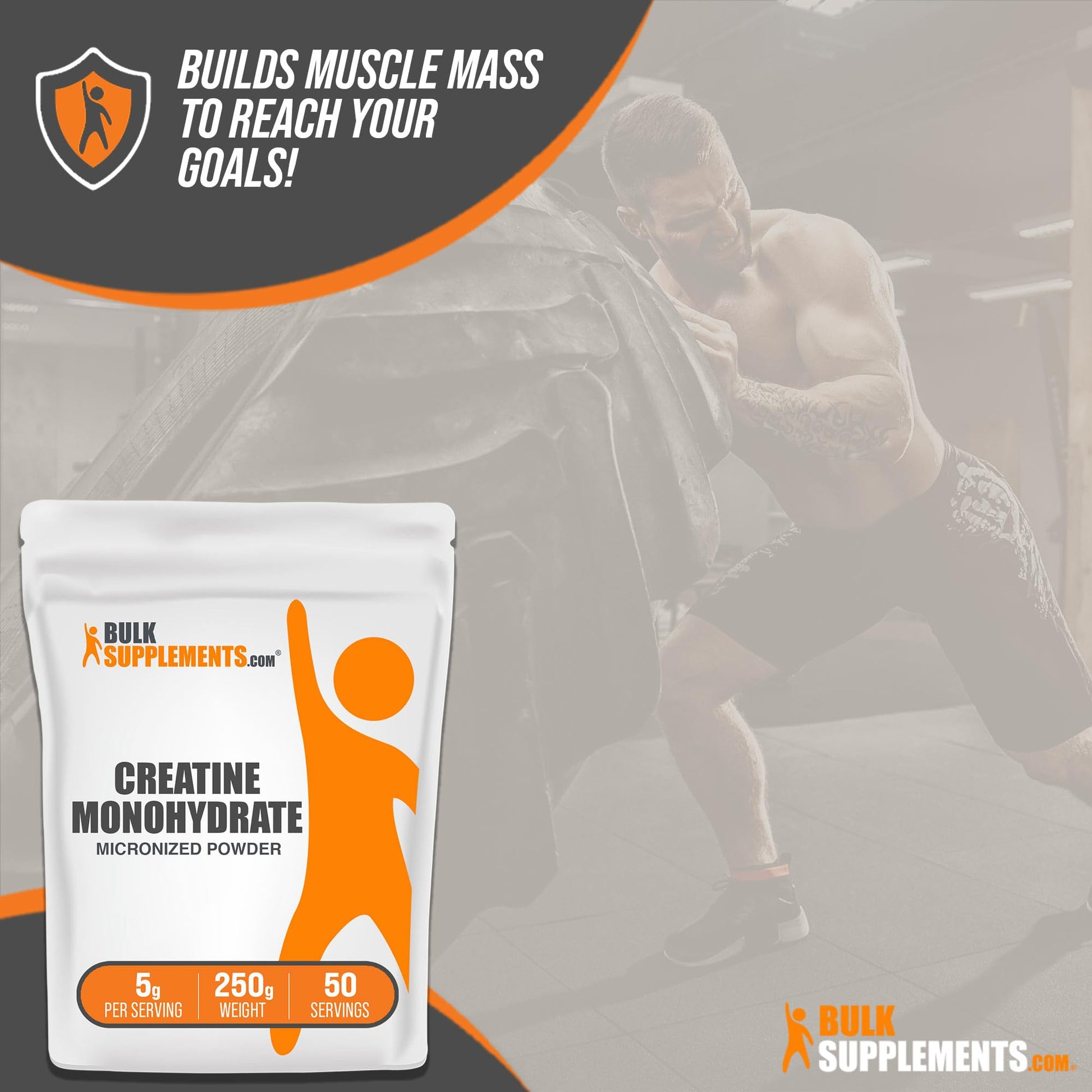 BULKSUPPLEMENTS.COM Creatine Monohydrate Powder - Micronized Creatine - Maple Wellness Supplements