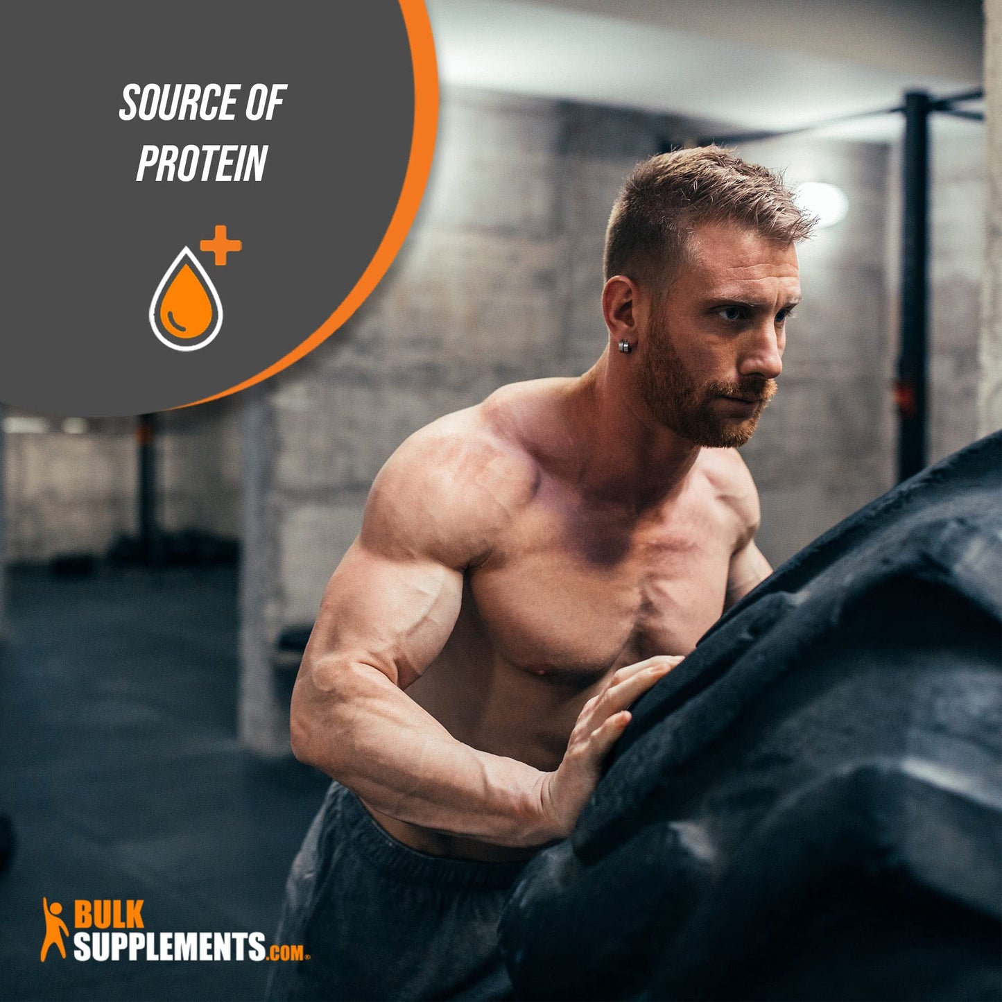 BULKSUPPLEMENTS.COM Hydrolyzed Whey Protein Isolate - Isolate Protein Powder - Maple Wellness Supplements