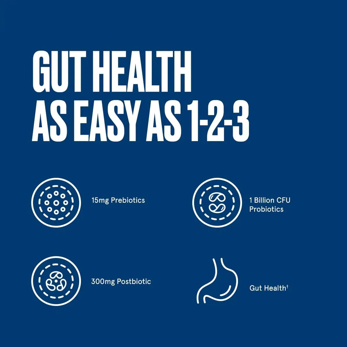 Bulletproof Express 3-in-1 Probiotic & Postbiotics Supplement for Sustained Gut Health, 90 Count - Maple Wellness Supplements