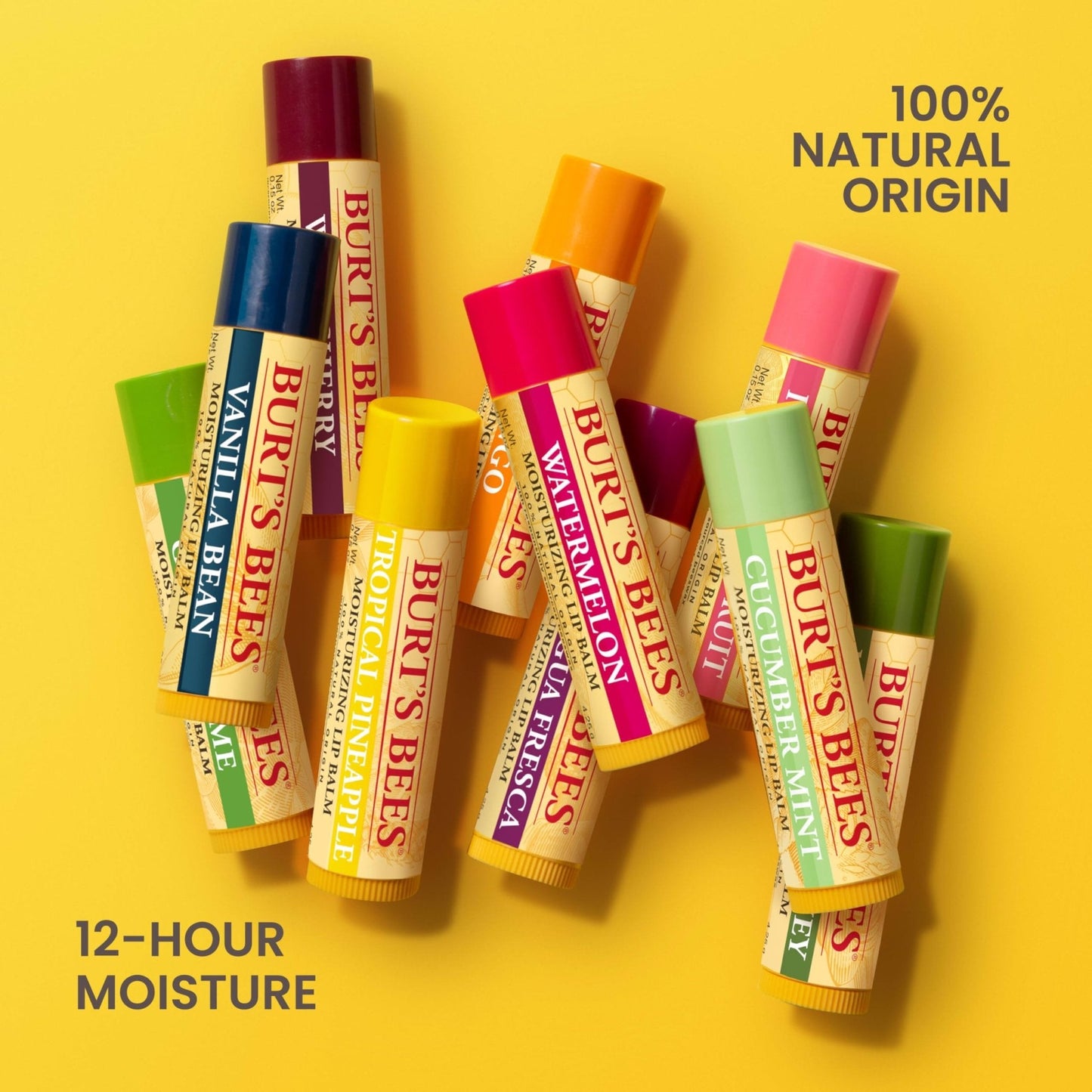 Burt's Bees 100% Natural Moisturizing Lip Balm (Superfruit) - Maple Wellness Supplements